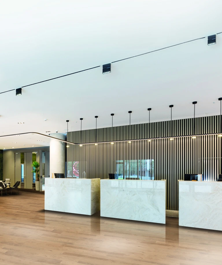 Eingangsbereich einer Einrichtung mit HARO Akustikpaneelen an den Wänden – funktionale Gestaltung trifft auf ästhetische Raumakustik für einen einladenden Empfang.