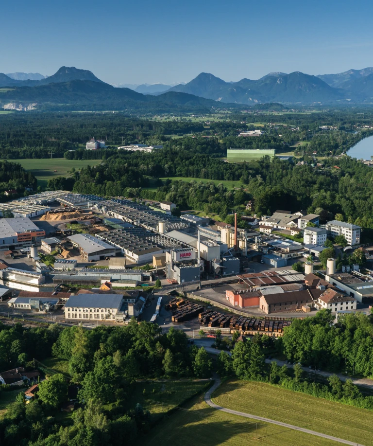 Luftaufnahme des gesamten Hamberger Firmengeländes, aufgenommen aus der Vogelperspektive mit einer Drohne; zu sehen sind Produktionshallen, Verwaltungsgebäude, Parkflächen und umliegende Grünflächen bei Tageslicht.
