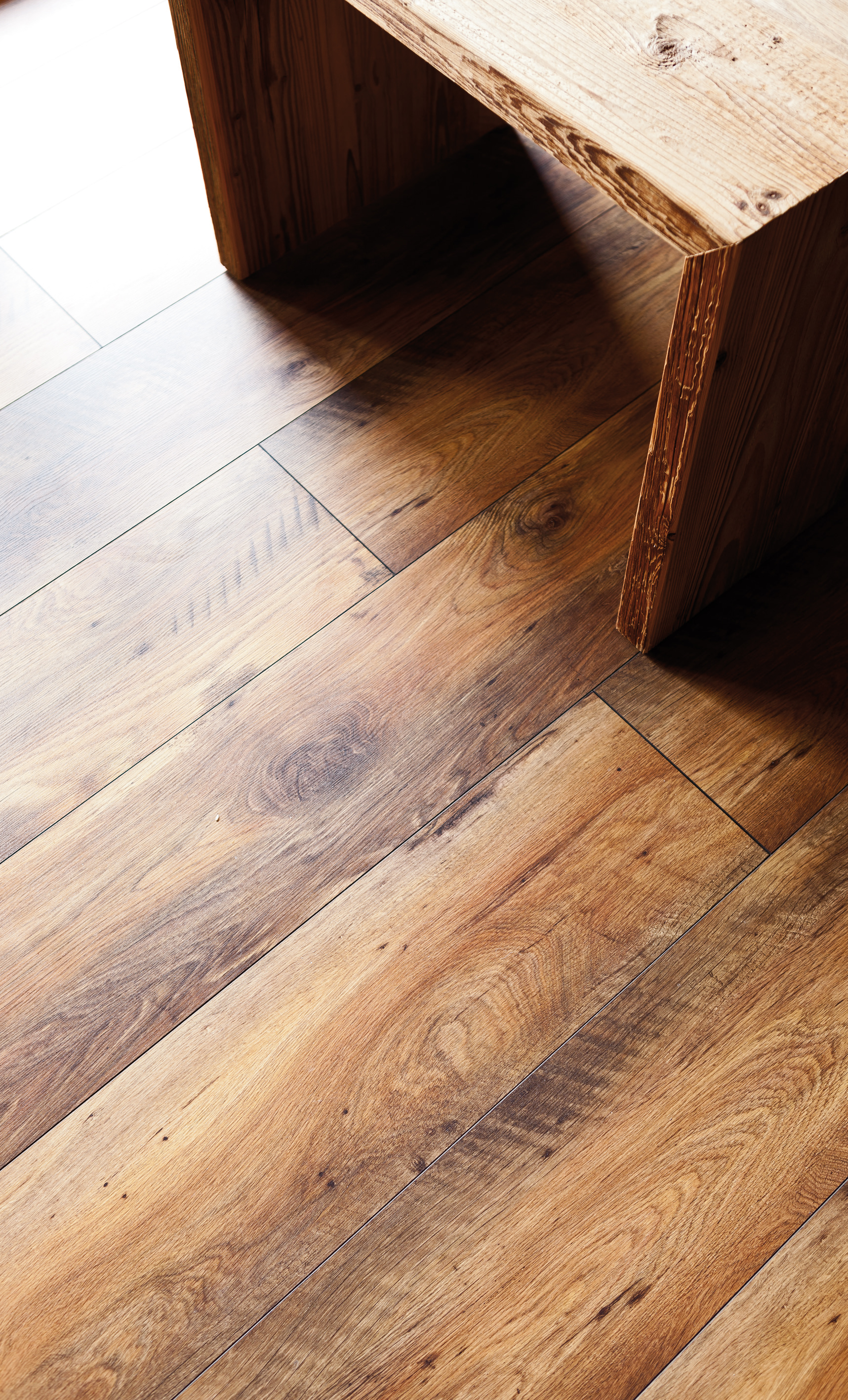 Hotel feuriger Tatzlwurm