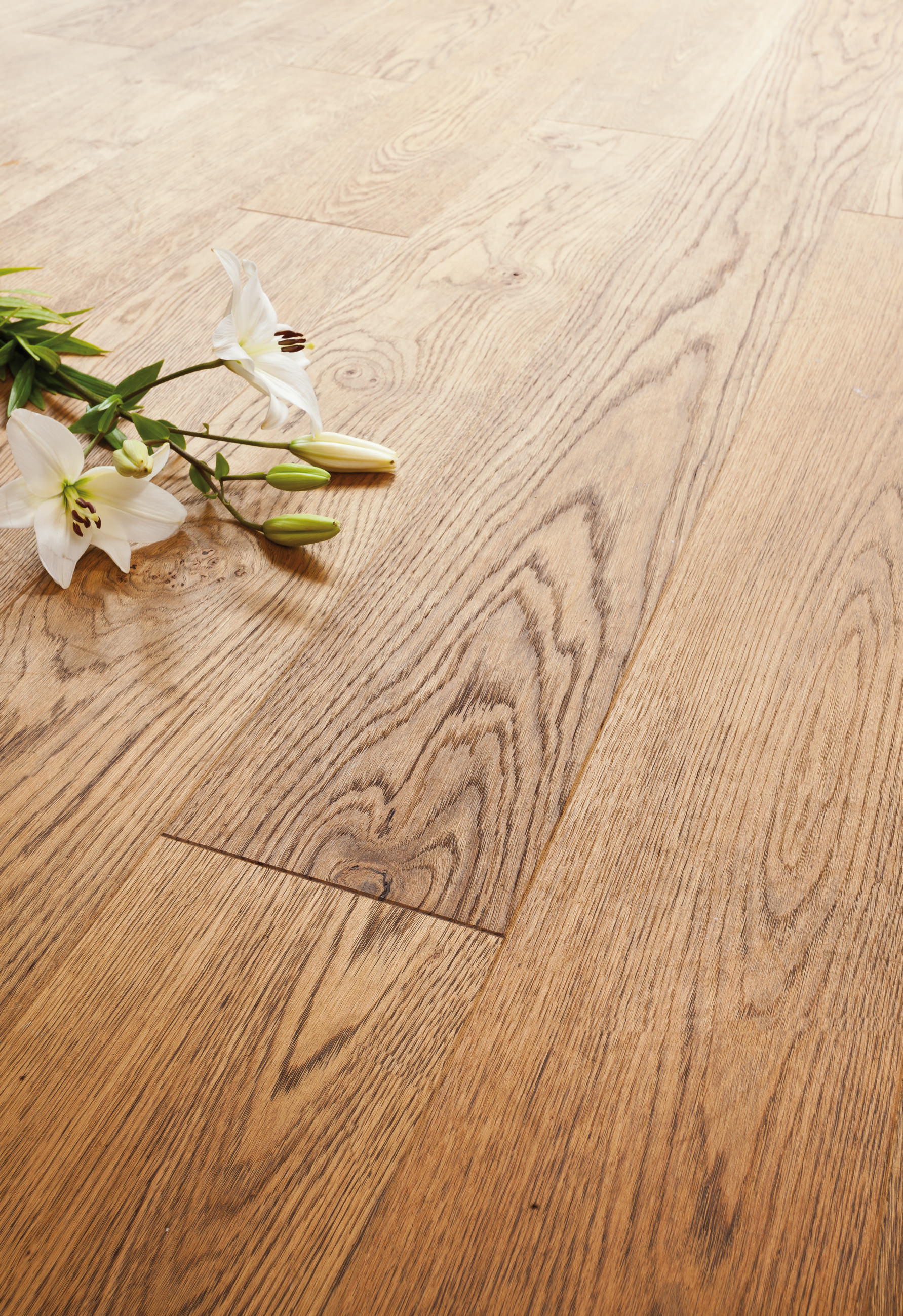 Hotel feuriger Tatzlwurm