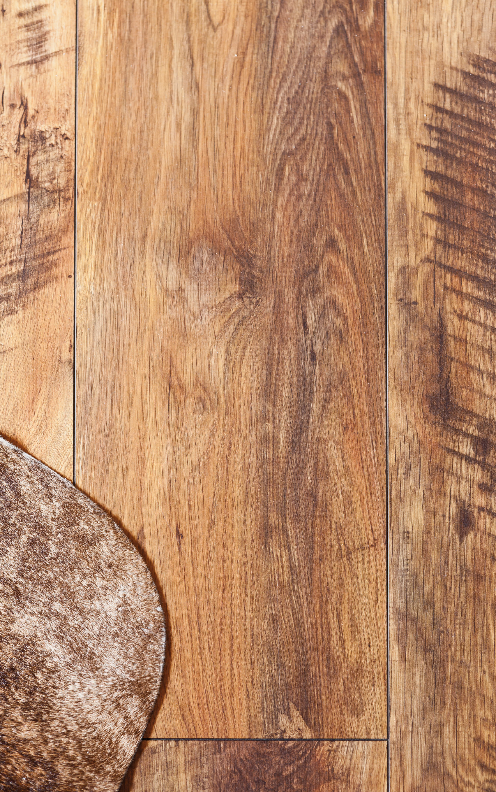 Hotel feuriger Tatzlwurm