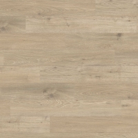 DISANO by HARO WaveAqua Plank 4V Eg Whistler pebble grey* authentic Top Connect