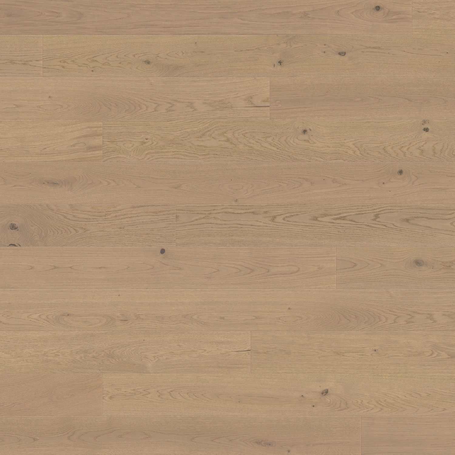 HARO PARKETT 4000 Landhausdiele 180 4V Eiche sandgrau Sauvage strukturiert naturaLin plus Top Connect
