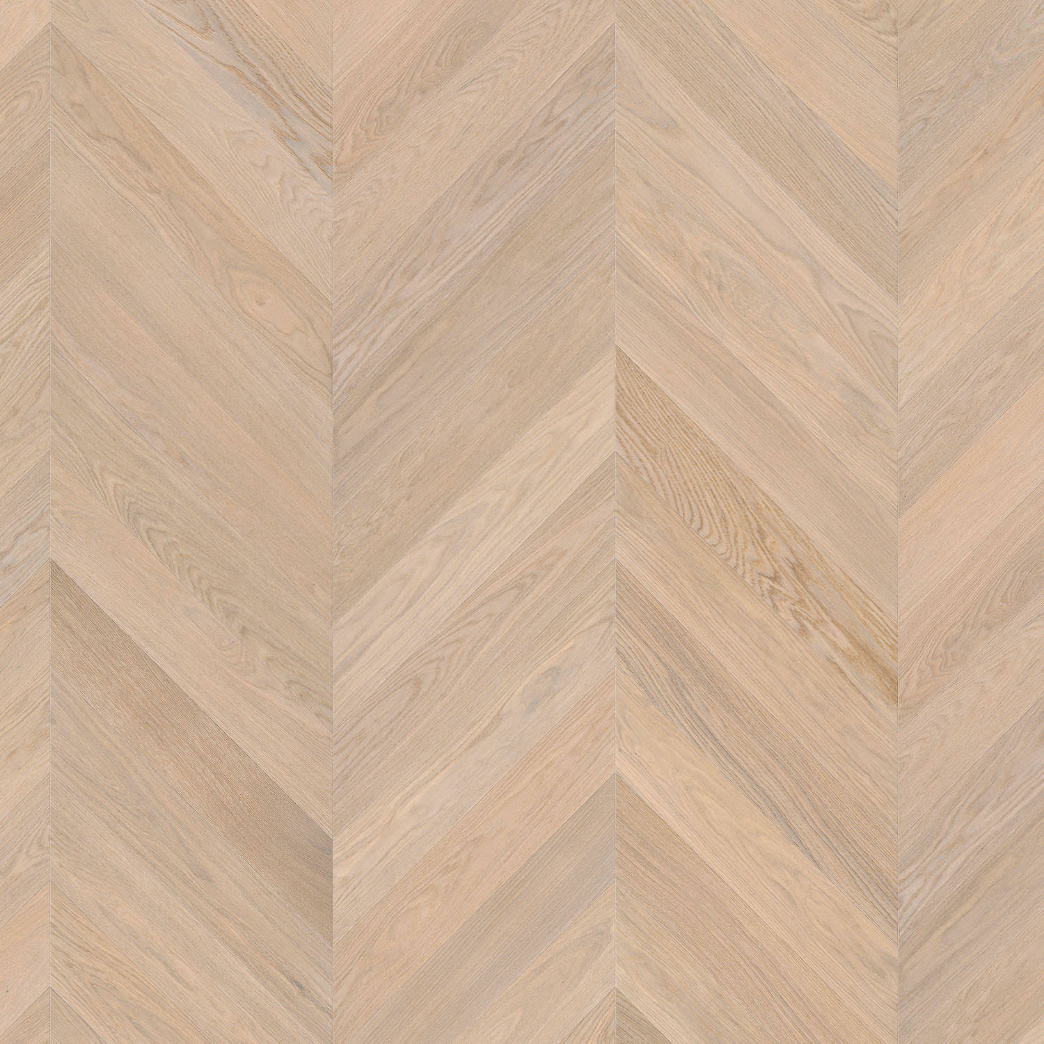 parkettmanufaktur by HARO Chevron 4V Eiche weiß Selectiv strukturiert oleovera Nut & Feder