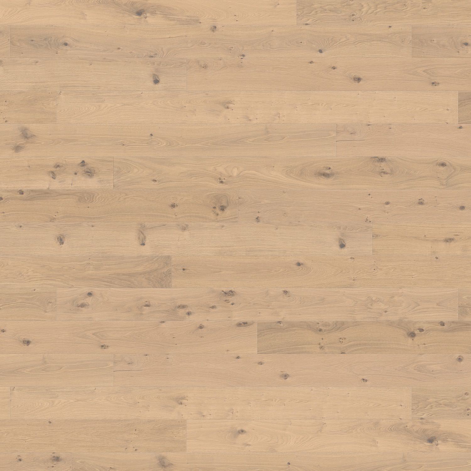 HARO PARQUET 4000 Planche large à l'ancienne 180 4V Chêne blanc puro Sauvage brossé retro naturaLin plus Top Connect