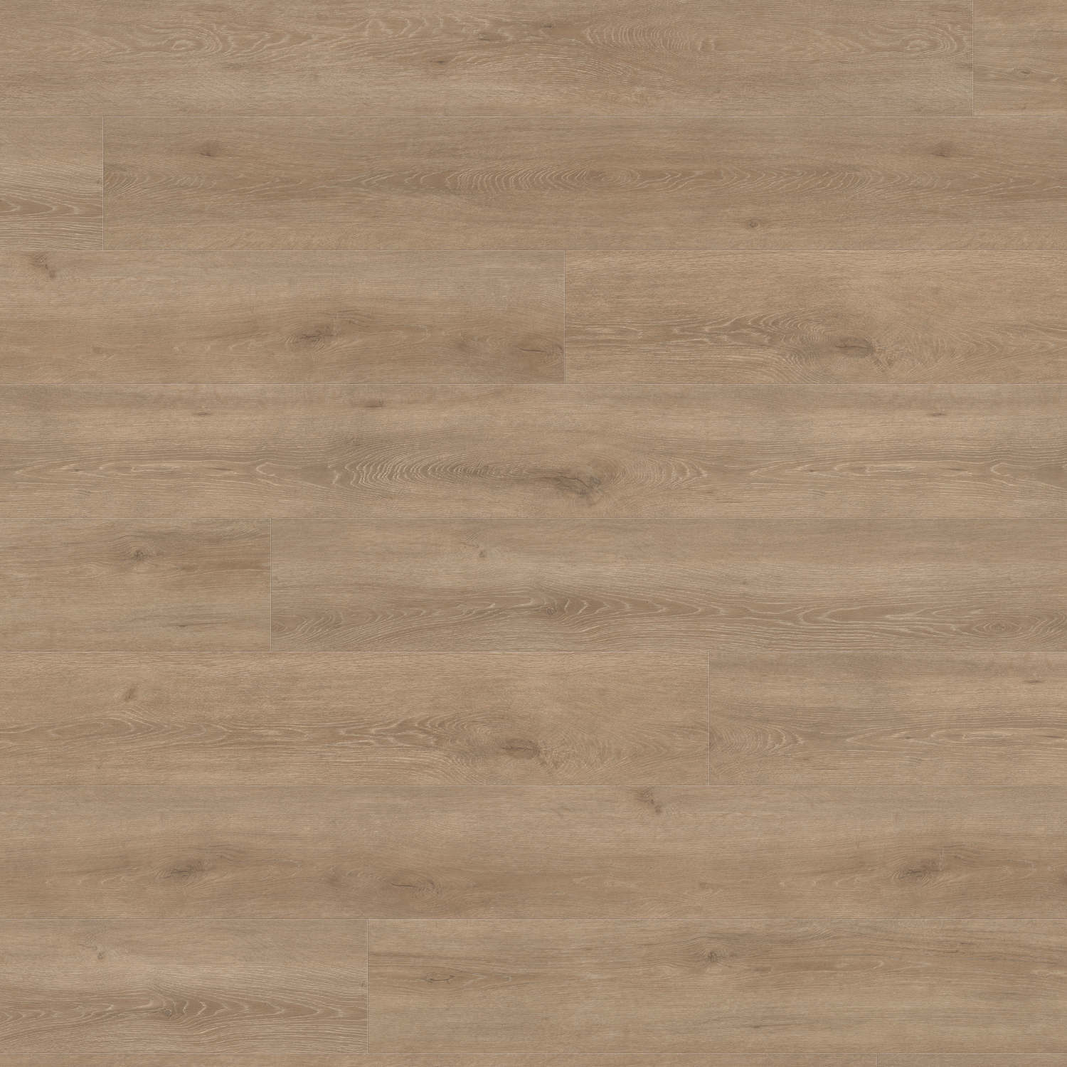 HARO Sol Stratifié TRITTY 200 Aqua Gran Via 4V Chêne Veneto crema* authentic mat Top Connect