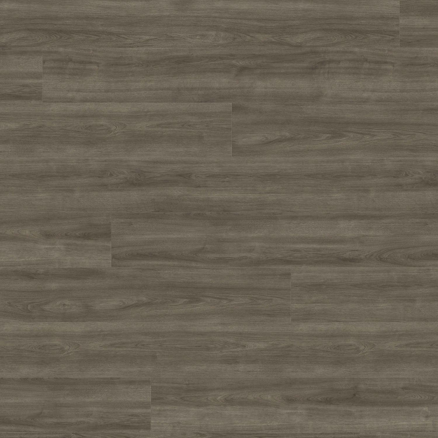 HARO Laminatboden TRITTY 200 Aqua Landhausdiele 4V Eiche Eleganza antikgrau* authentic Top Connect