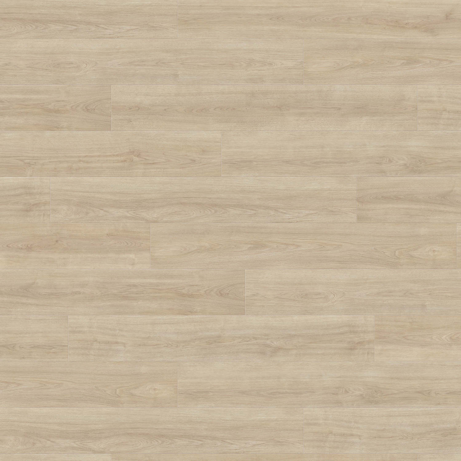 HARO Laminatboden TRITTY 100 Gran Via 4V Eiche Eleganza cremeweiß* authentic Top Connect