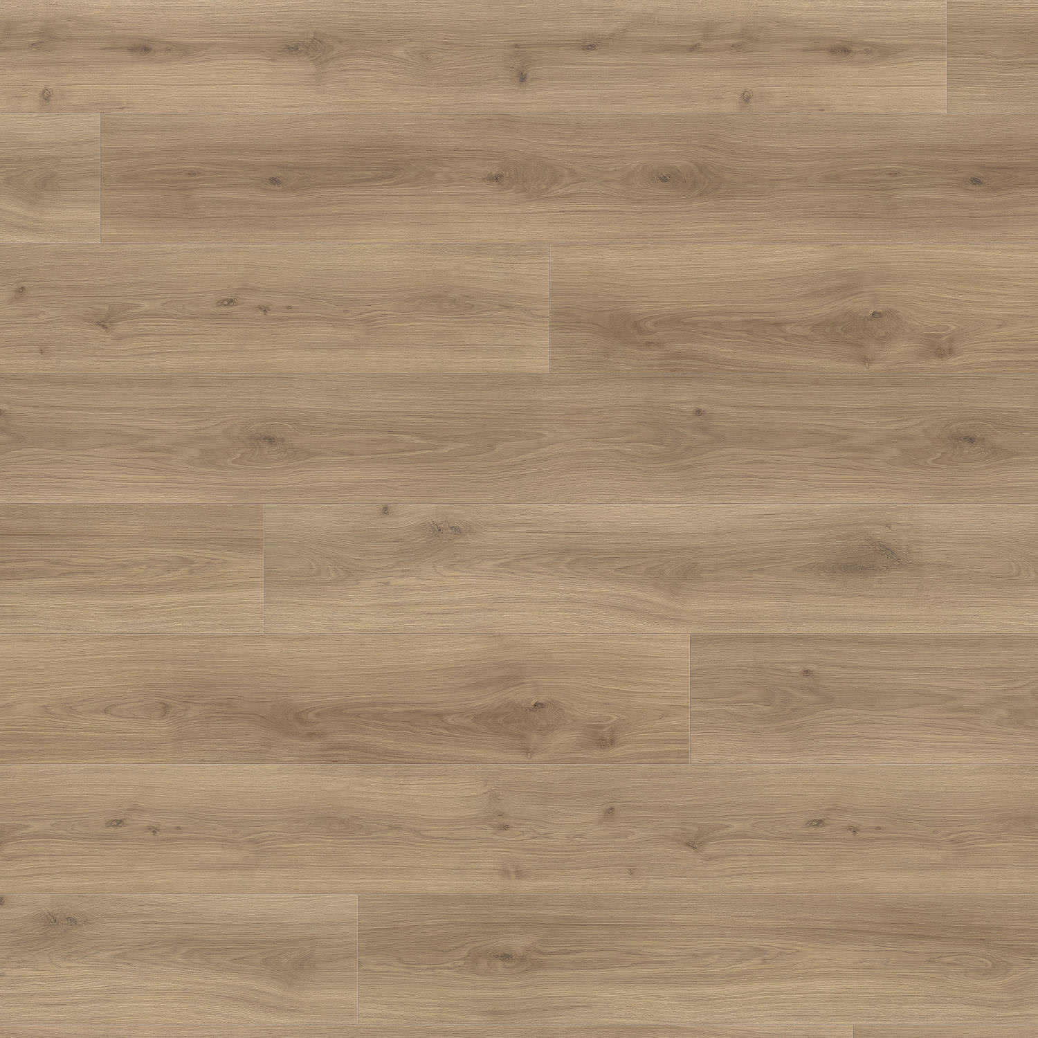 HARO Laminatboden TRITTY 200 Aqua Gran Via 4V Eiche Emilia puro* authentic soft Silent Pro Top Connect