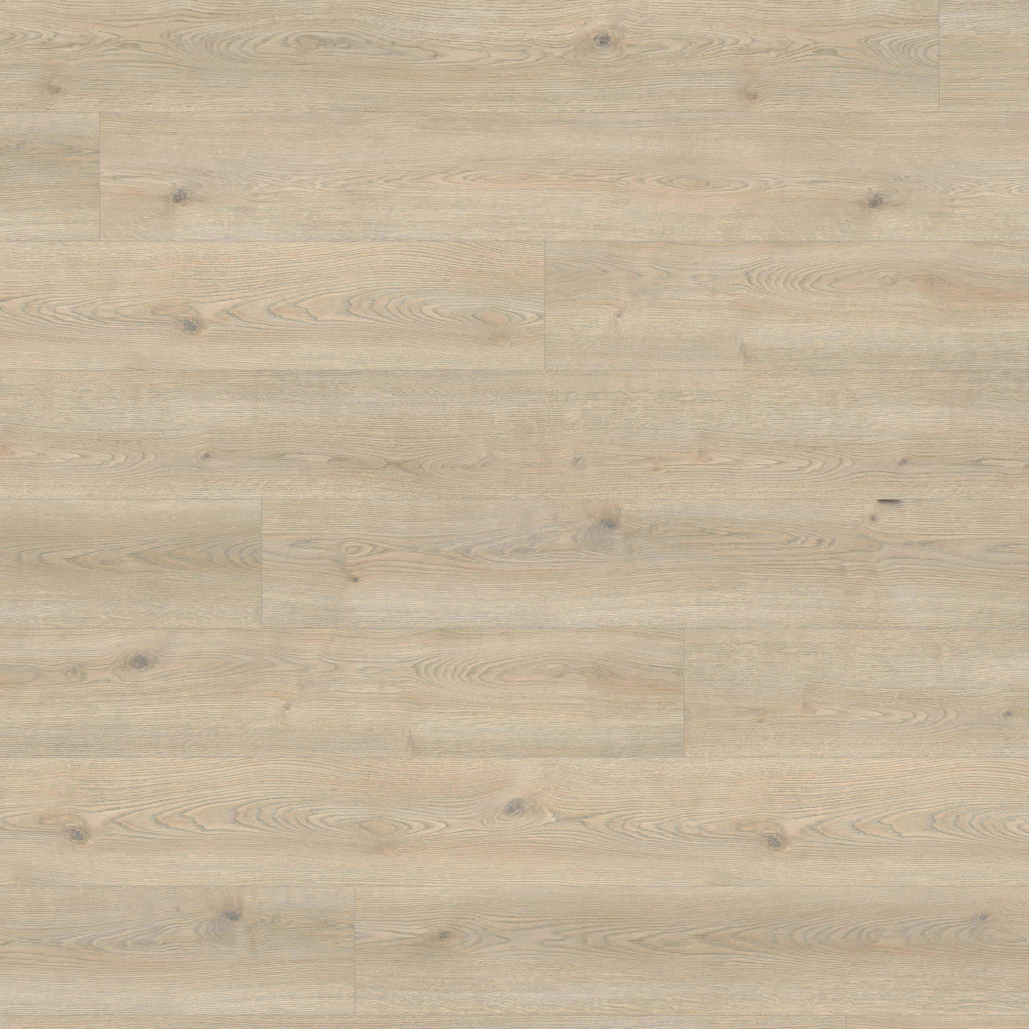 HARO Laminatboden TRITTY 200 Aqua Gran Via 4V Eiche Contura steingrau* authentic Top Connect