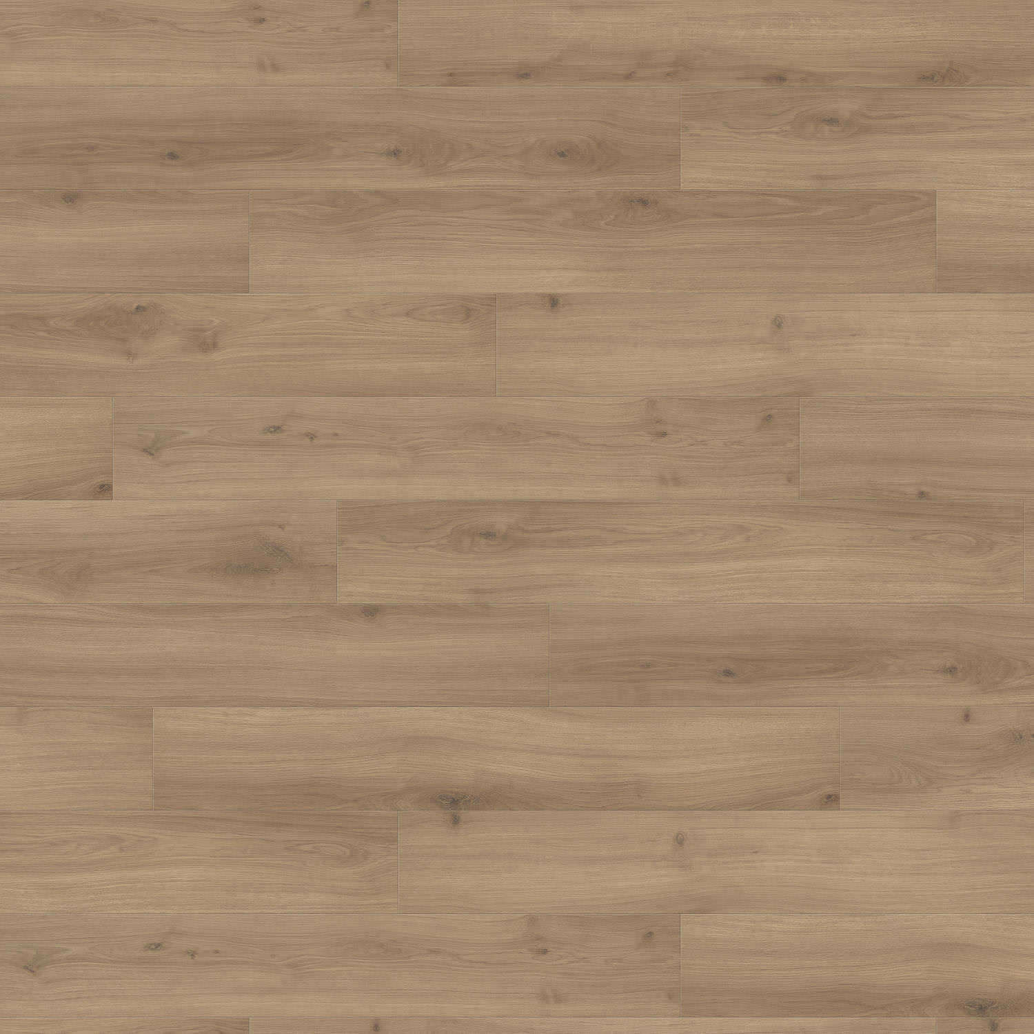 HARO Laminatboden TRITTY 200 Aqua Landhausdiele 4V Eiche Emilia puro* authentic soft Silent CT Top Connect