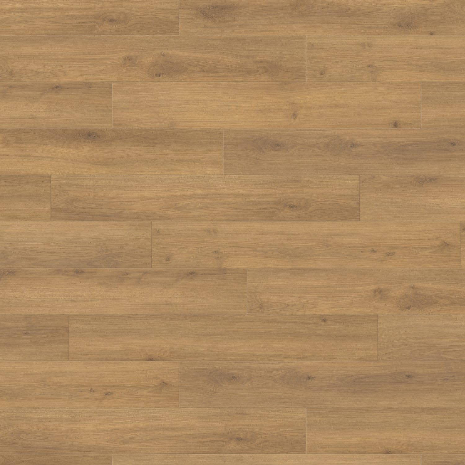 HARO Laminatboden TRITTY 200 Aqua Landhausdiele 4V Eiche Emilia Honig* authentic soft Top Connect