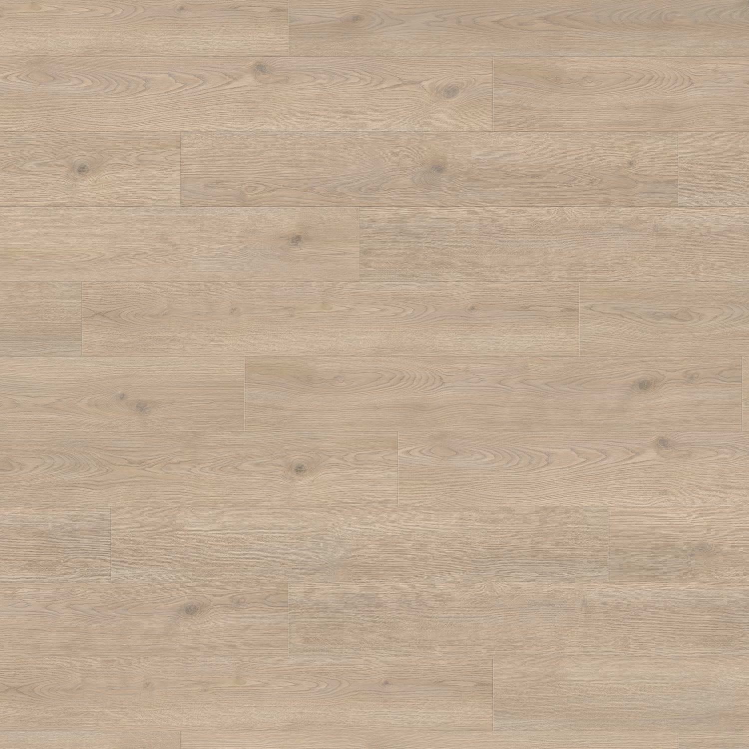 HARO Laminatboden TRITTY 200 Aqua Landhausdiele 4V Eiche Contura steingrau* authentic Top Connect