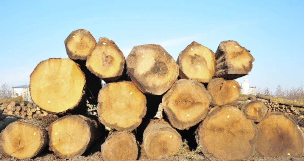 Ten Bulte Groothandel