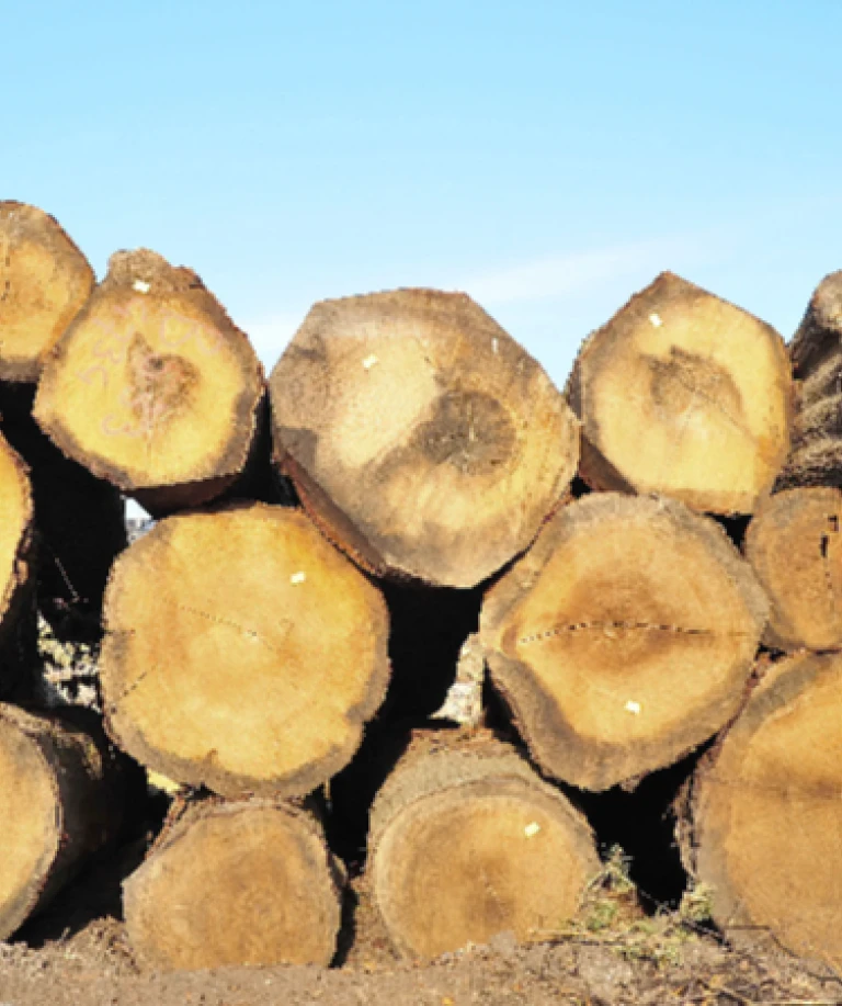 Ten Bulte Groothandel