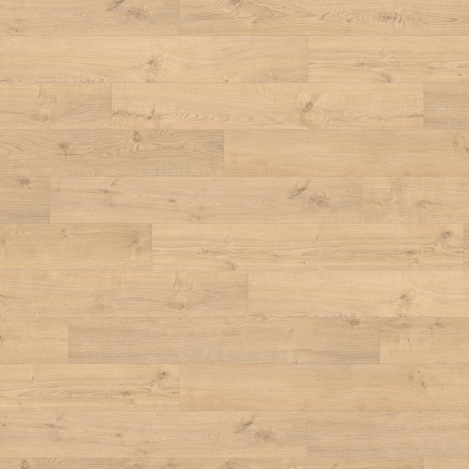 HARO Laminatboden TRITTY 200 Aqua Landhausdiele 4V Eiche Portland puro* authentic Top Connect