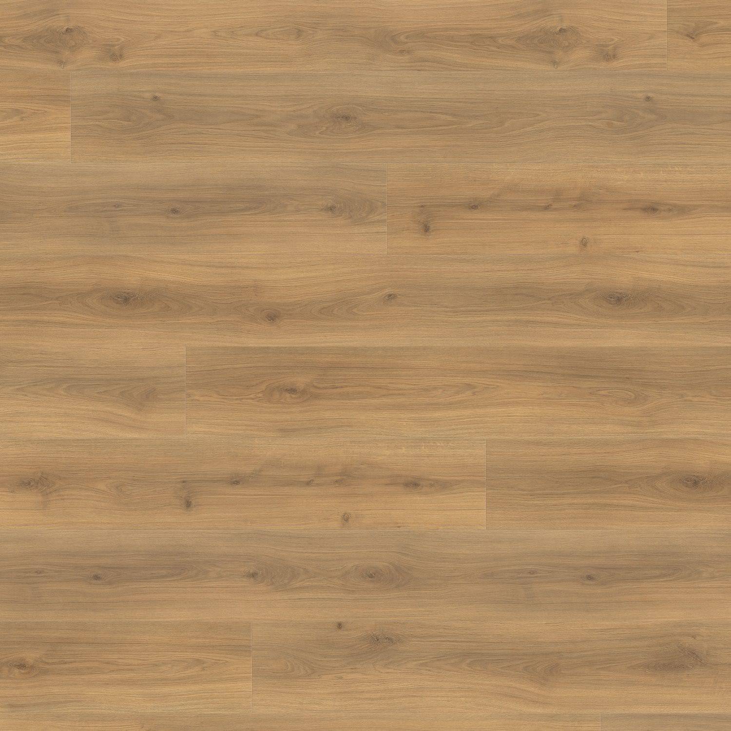 HARO Suelo laminado TRITTY 100 Gran Via 4V Roble Emilia miel* authentic soft Silent CT Top Connect