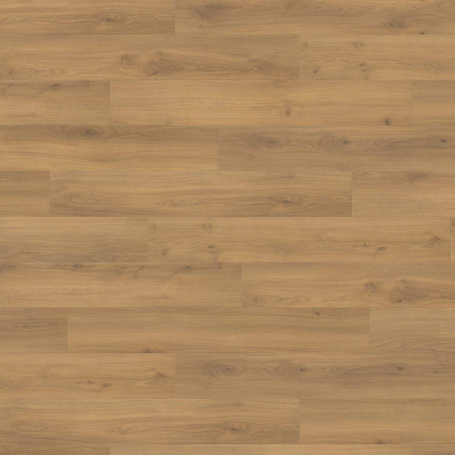 HARO Laminatboden TRITTY 100 Landhausdiele 4V Eiche Emilia Honig* authentic soft Silent Pro Top Connect