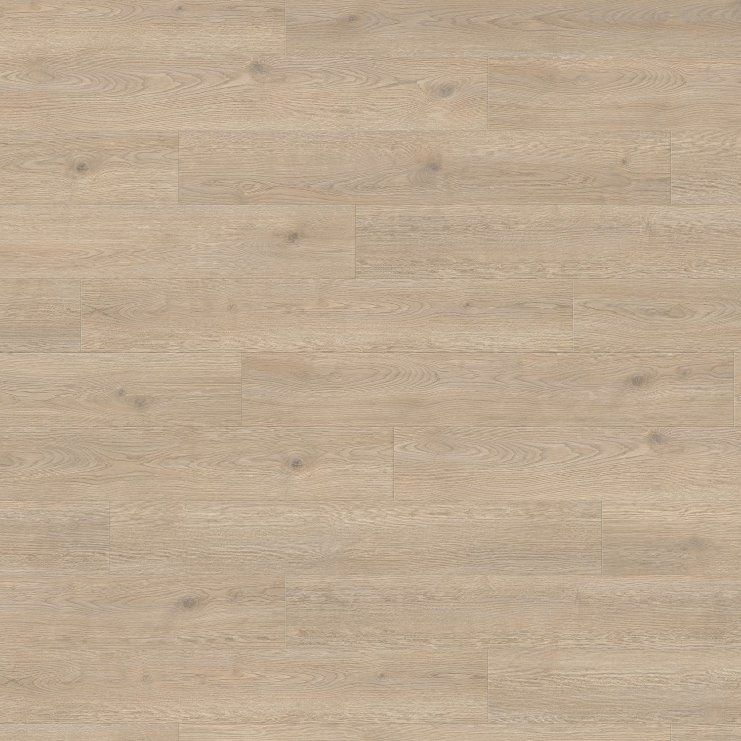 HARO Laminatboden TRITTY 100 Landhausdiele 4V Eiche Contura steingrau* authentic Top Connect