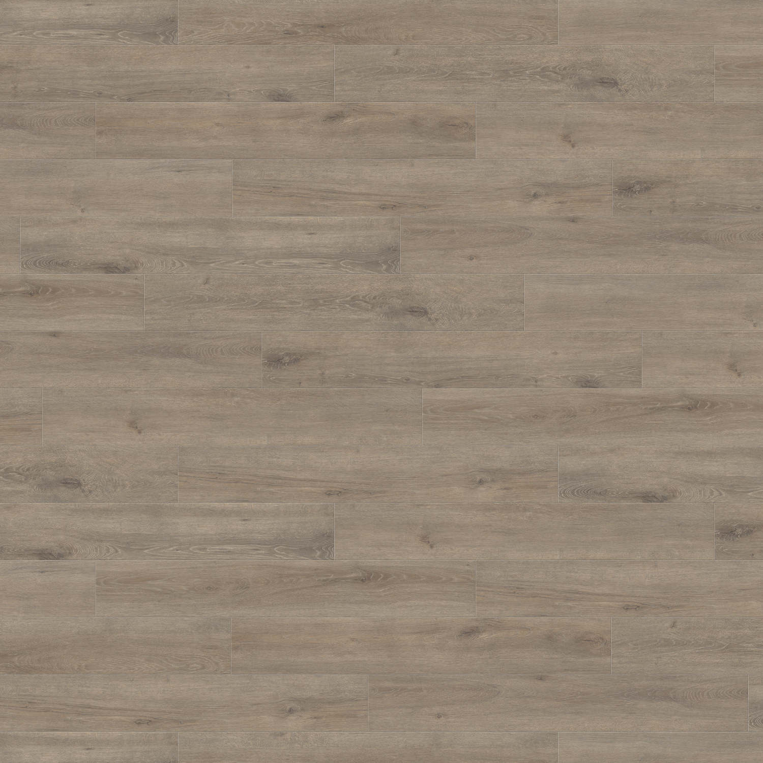 HARO Laminatboden TRITTY 200 Aqua Landhausdiele 4V Eiche Veneto mocca* authentic matt Top Connect