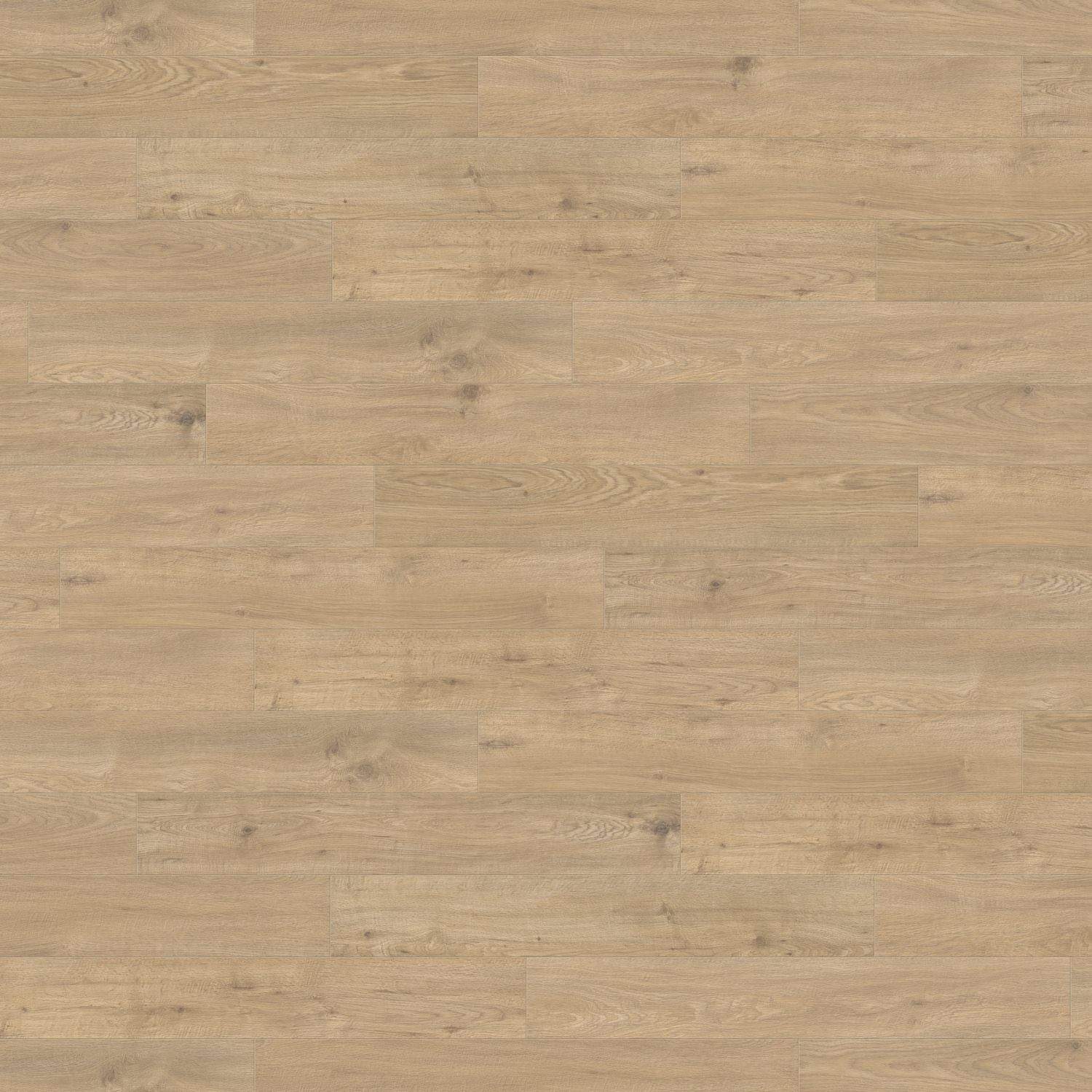 HARO Laminatgulv TRITTY 200 Aqua Plank 4V Eg Sicilia puro* authentic matt Top Connect