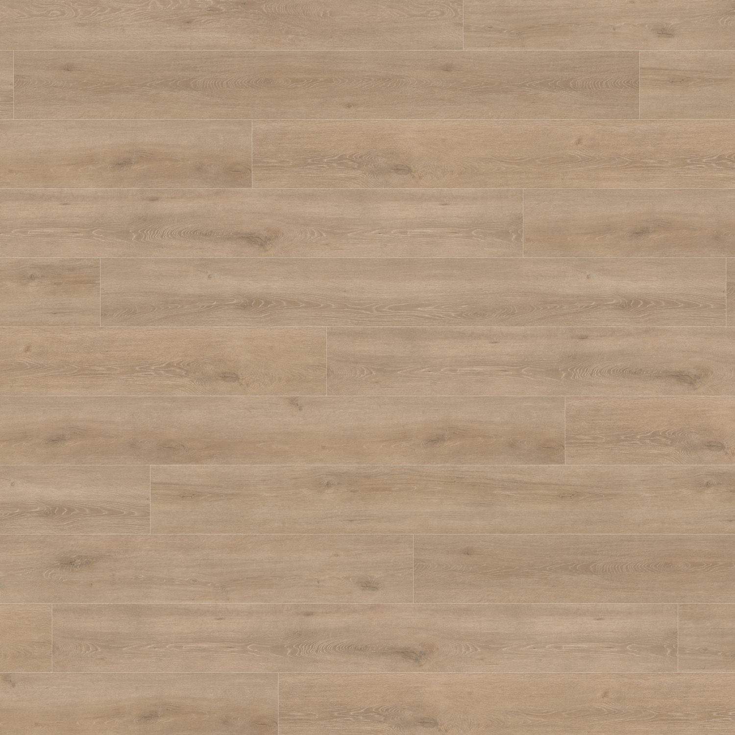 HARO Laminatboden TRITTY 100 Gran Via 4V Eiche Veneto crema* authentic matt Top Connect