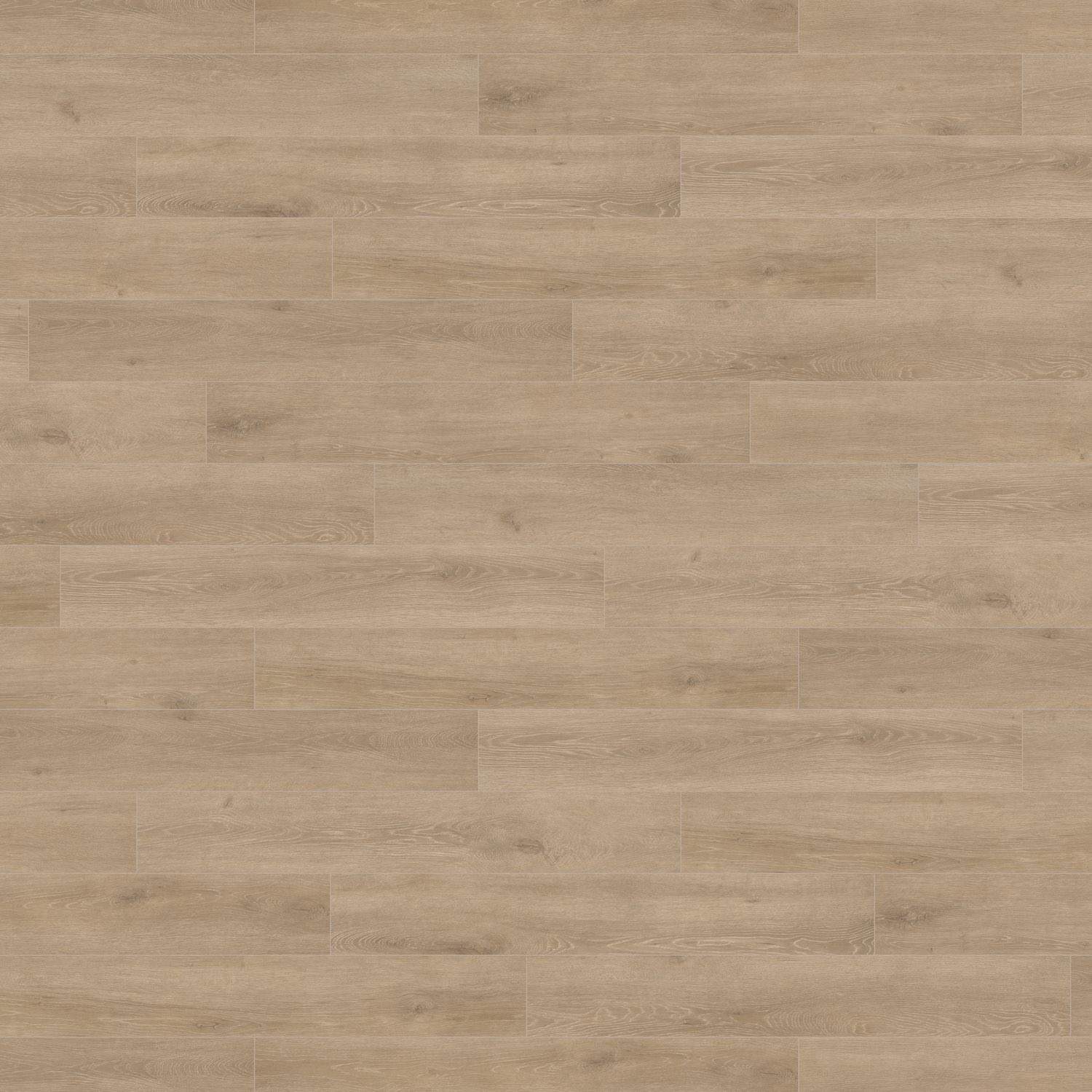 HARO Laminatgulv TRITTY 100 Plank 4V Eg Veneto crema* authentic matt Top Connect