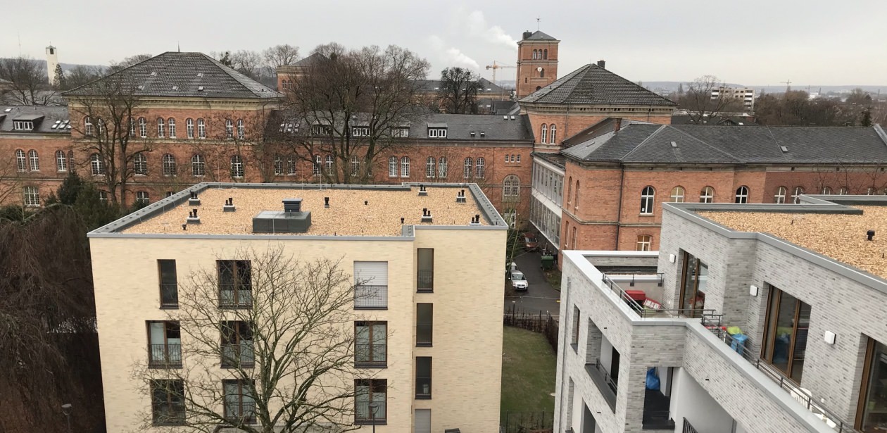 Le bâtiment à la façade de briques jaunes hébergera bientôt 24 personnes handicapées.