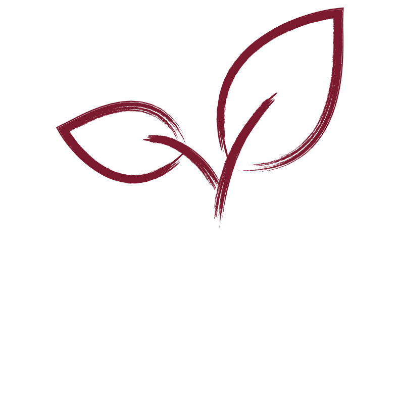 Official HARO pictogram for natural and healthy living: A green twig with two stylized leaves – symbolizing naturalness, sustainability, and a healthy indoor climate.