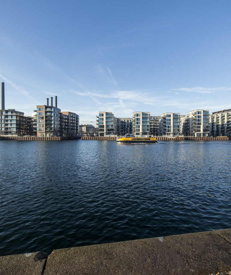 Tangholm er den fjerde af de seks boligøer i Engholmene, der er blevet opført med moderne boliger. Bygherre var Nordic Property  Vision, Charlottenlund, boligerne er blevet tegnet af arkitektbureauet Arkitema K/S, Aarhus.