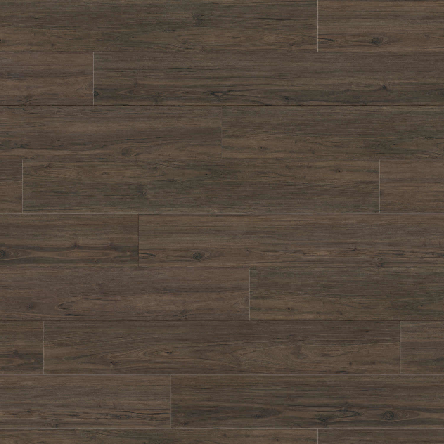 HARO Laminatboden TRITTY 90 Landhausdiele 4V Nussbaum Cesano* soft matt Silent Pro Top Connect