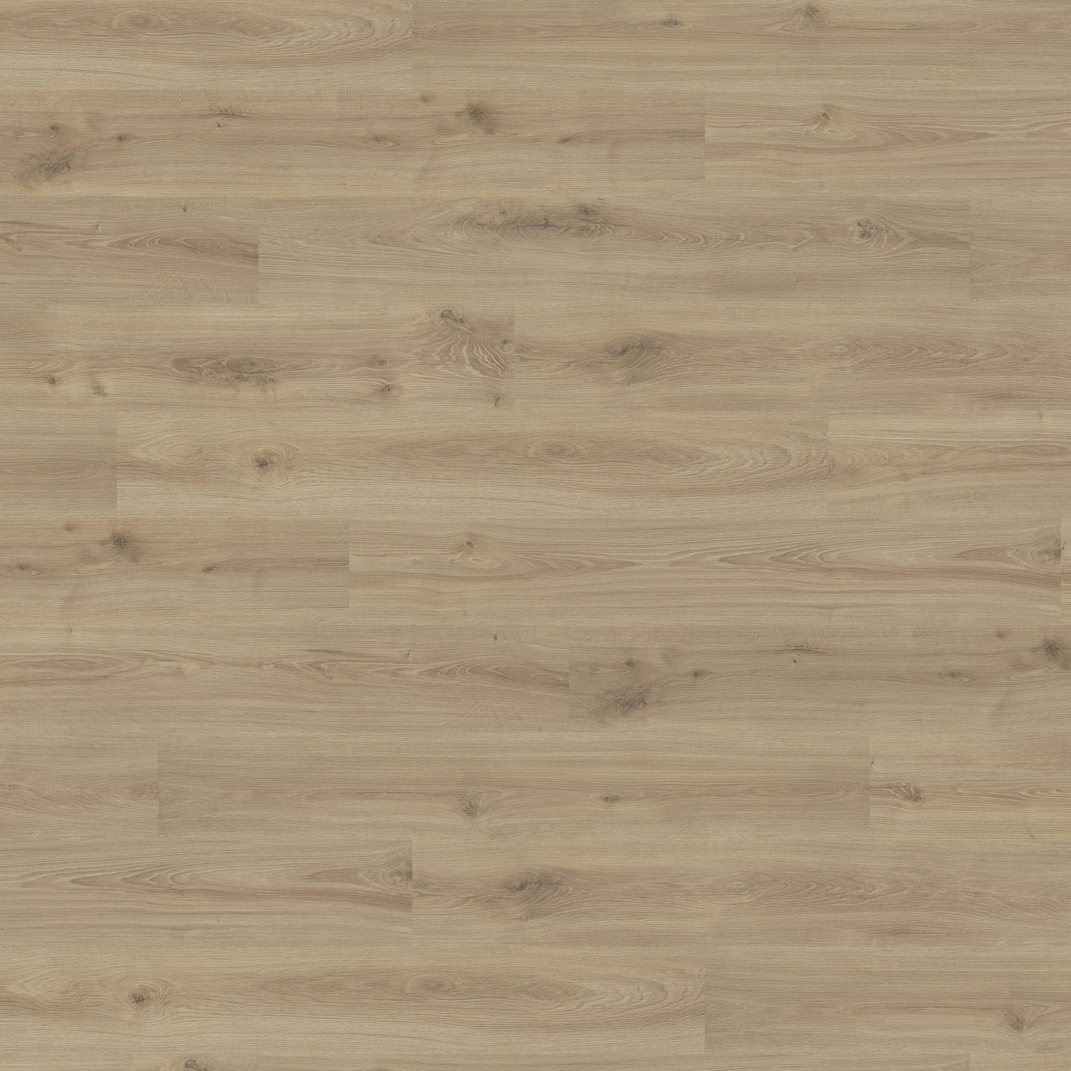 544651 - HARO Laminate Floor Special Edition NKL31 Plank 1-Strip
