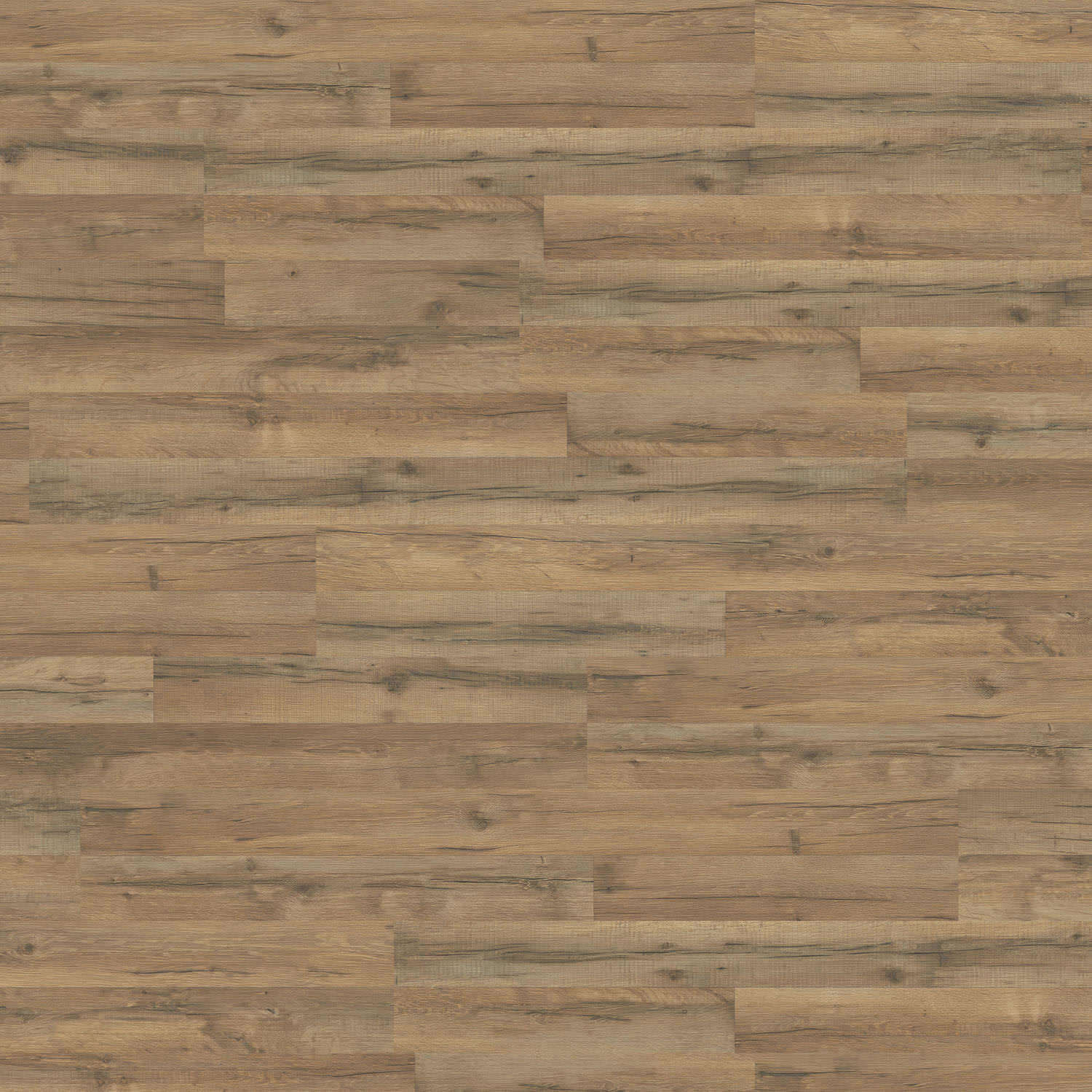 HARO Laminate Floor Special Edition NKL31 2-Strip Oak Calabria* textured matt Silent Pro Top Connect