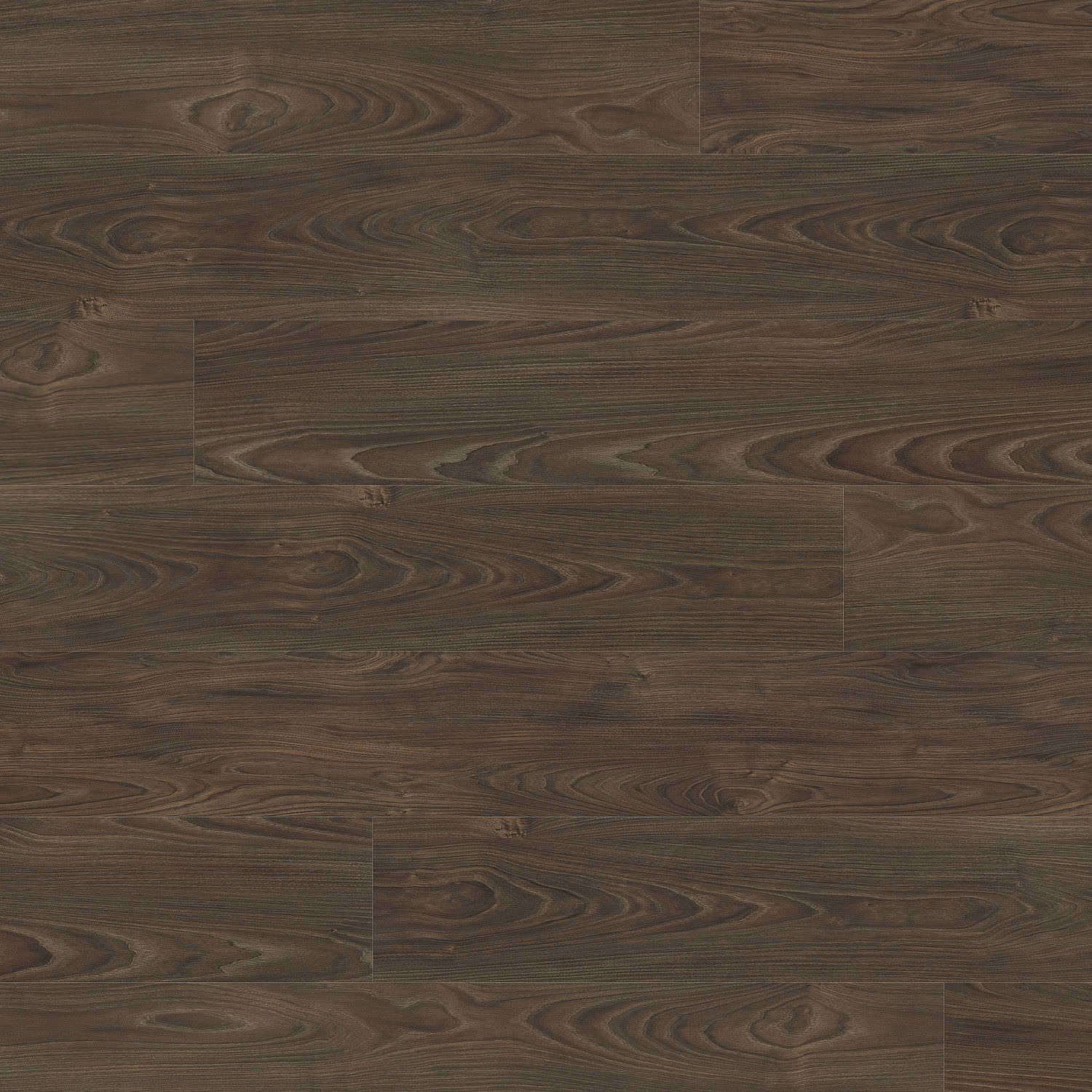 HARO Suelo laminado TRITTY 100 Gran Via 4V Acacia Vario* authentic soft Silent Pro Top Connect