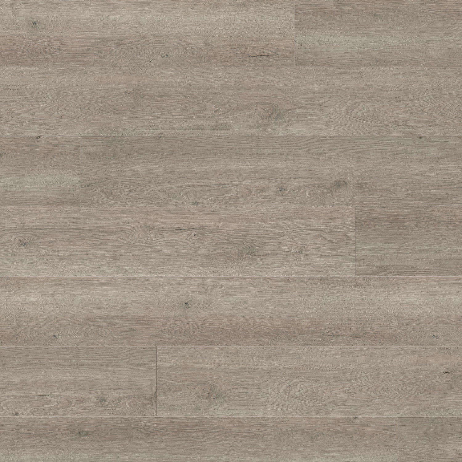 HARO Laminate Floor TRITTY 100 Gran Via 4V Oak Flavia Grey* authentic Silent CT Top Connect