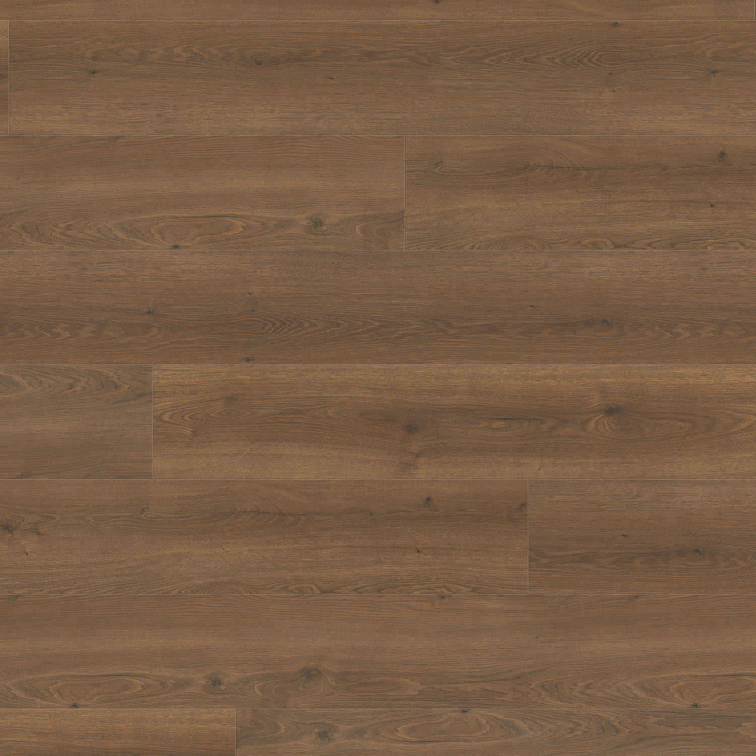 HARO Laminatboden TRITTY 100 Gran Via 4V Eiche Flavia geräuchert* authentic Silent CT Top Connect