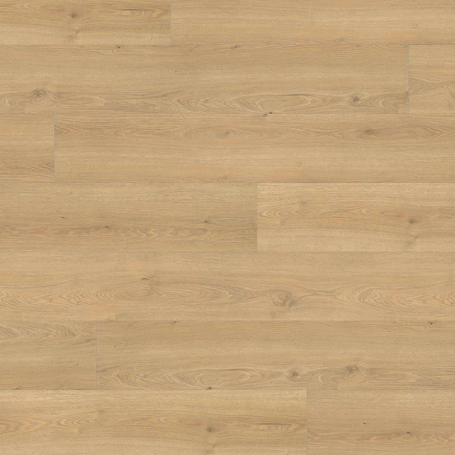 HARO Laminatboden TRITTY 200 Aqua Gran Via 4V Eiche Flavia puro* authentic Top Connect