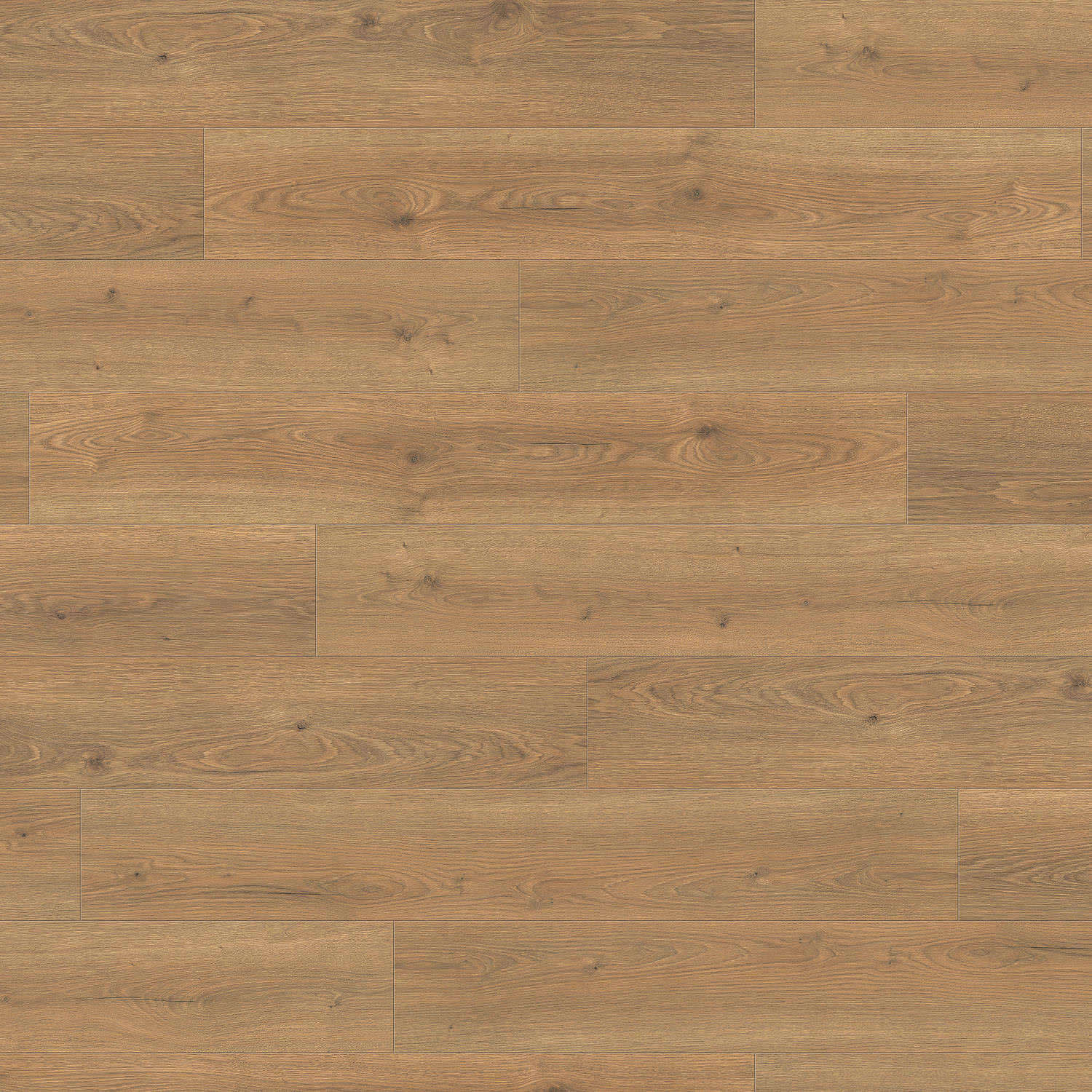 HARO Laminatgulv TRITTY 200 Aqua Plank 4V Eg Flavia natur* authentic Top Connect