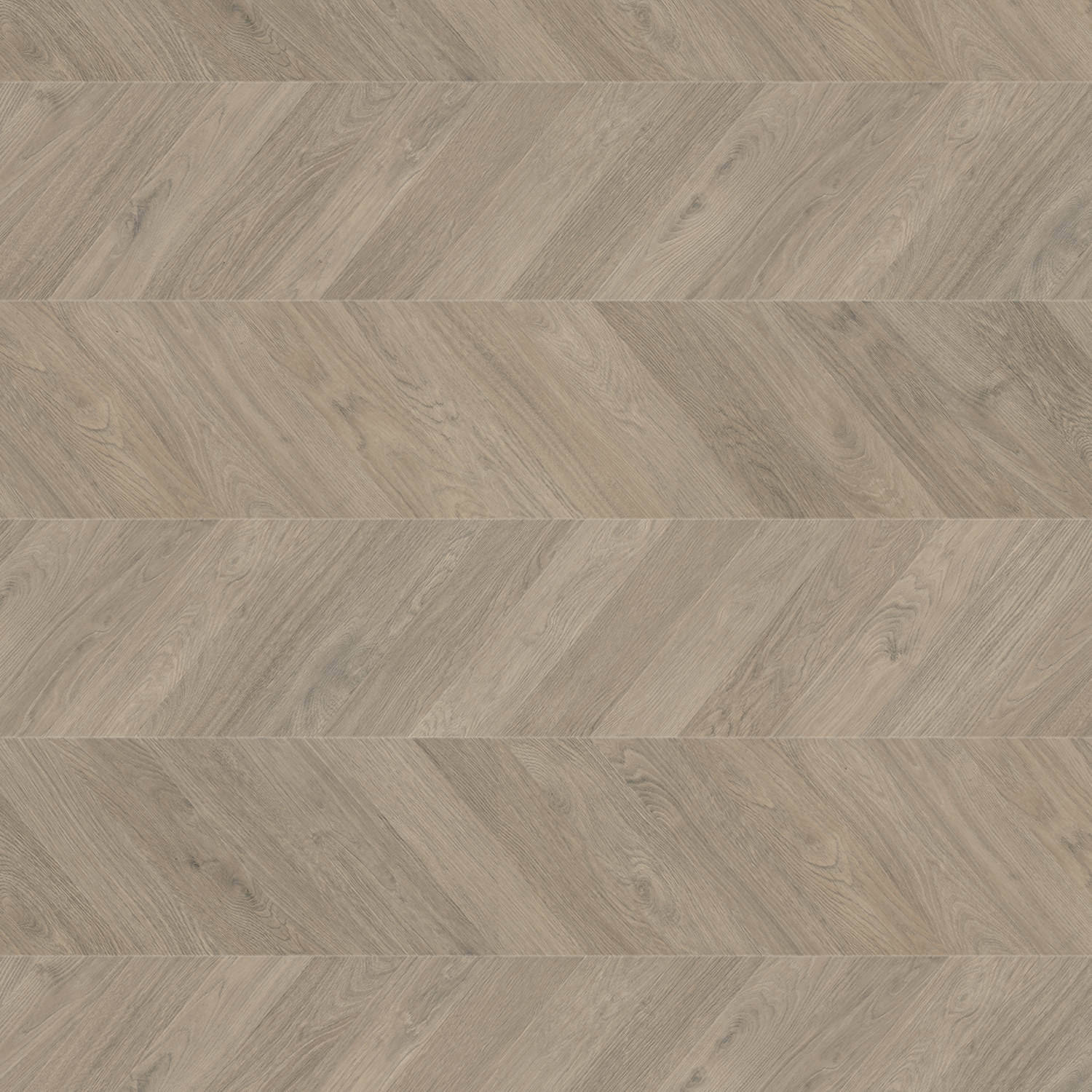 HARO Laminatgulv TRITTY 200 Aqua Chevron 4VM Eg grå* authentic Lock Connect plus